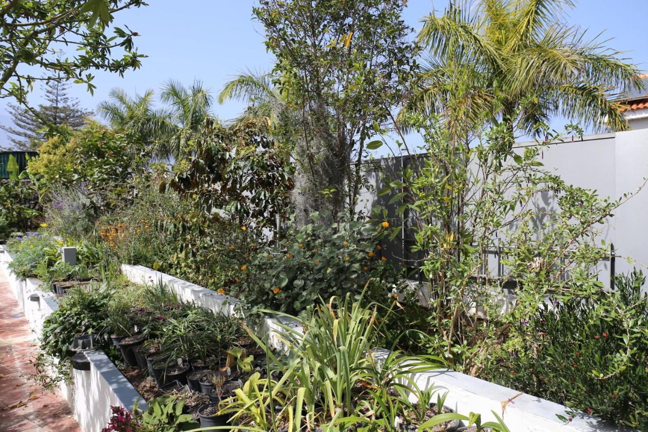 Jungle Paradise La Orotava Ngoại thất bức ảnh
