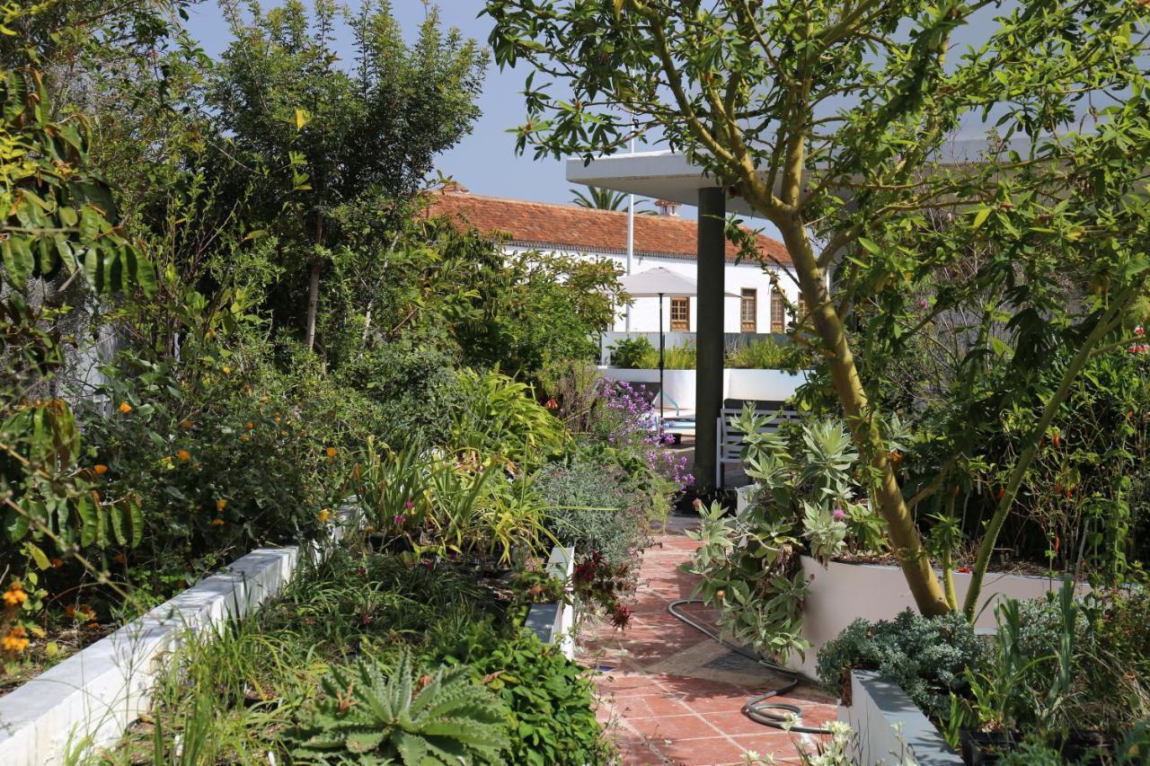 Jungle Paradise La Orotava Ngoại thất bức ảnh